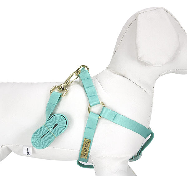Peitoral com Guia para Cães – Verde Água